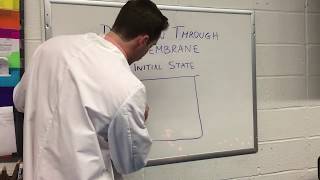 Lab 6A Demo