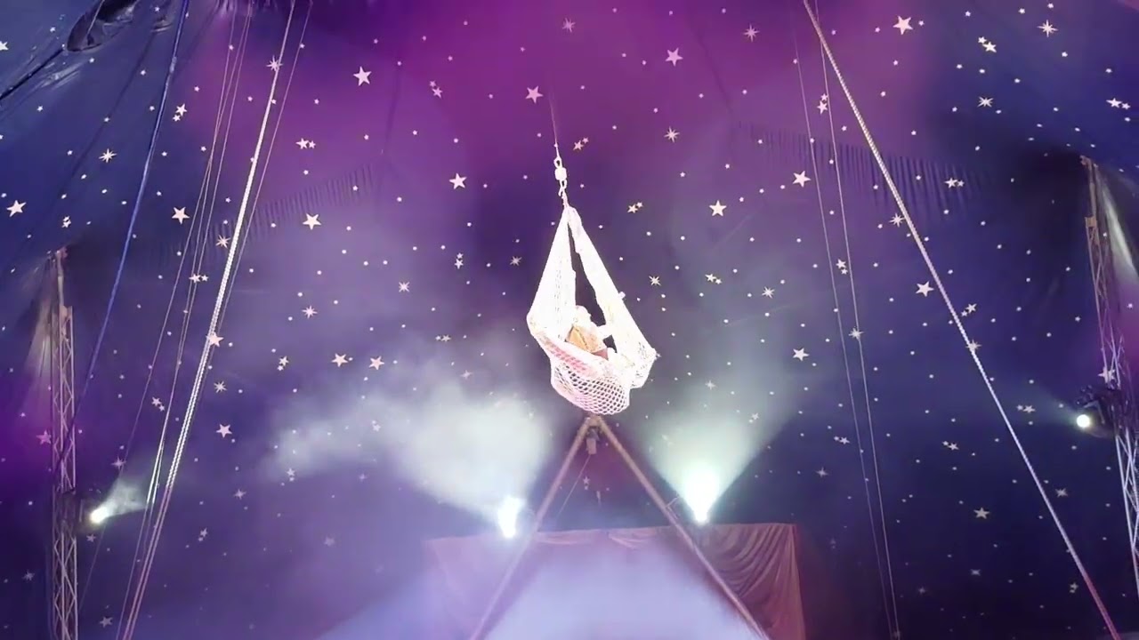 Aerial Net Steampunk