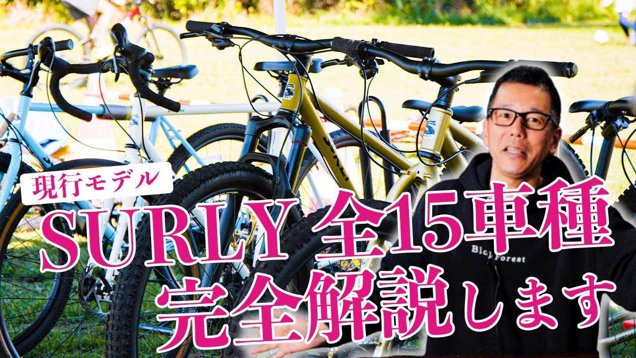 Complete Collector's Edition] A thorough introduction to all