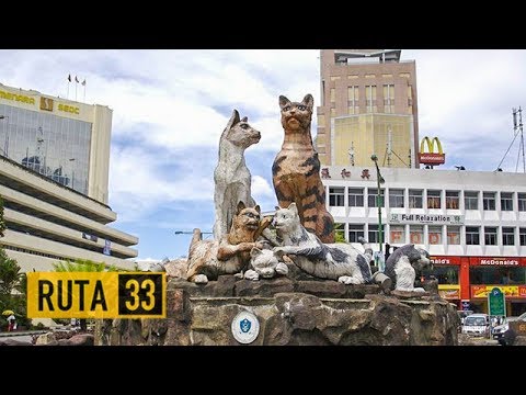 Kuching, la ciudad de los gatos | Malasia hqdefault