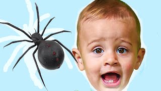 ITSY BITSY SPIDER - and More Nursery Rhymes Song for Children by LETSGOMARTIN