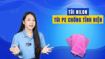 Túi PE Chống Tĩnh Điện – Bảo Vệ Linh Kiện An Toàn, Sản Xuất Theo Yêu Cầu | Vinpack