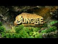 Junglee Official Logo Vidyut Jammwal In Cinemas 5th April 2019 