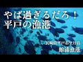 【館浦漁港・長崎県平戸市生月島・海中映像】これが本物の海か‼︎長崎県平戸市生月島の海が別格過ぎて感動に震える事になった🐟#217 福岡釣部 in 福岡・糸島・佐賀・北九州・玄界灘・広島・岡山・瀬戸内海