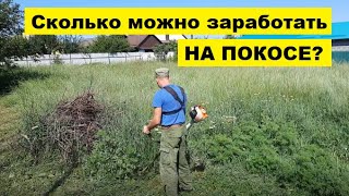 Сколько можно заработать на покосе травы? КАК ЗАРАБОТАТЬ В ДЕРЕВНЕ? Часть 4.