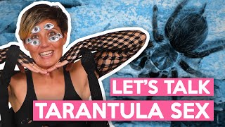 SEMEN, PHEROMONES, AND CANNIBALISM: How Tarantulas Have Sex!