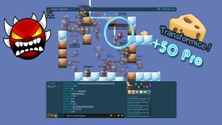 Transformice - Firsts Pros +50 Mice #13