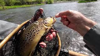 :    . . Euro Nymphing