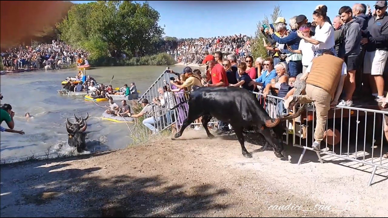 Fête Votive de ST REMY DE PROVENCE, 23.24/09/2023 YouTube