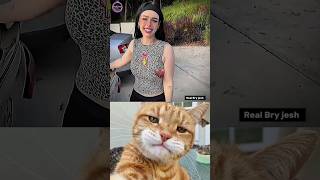It was an accident ☠️ #cat #meme #dance #trending