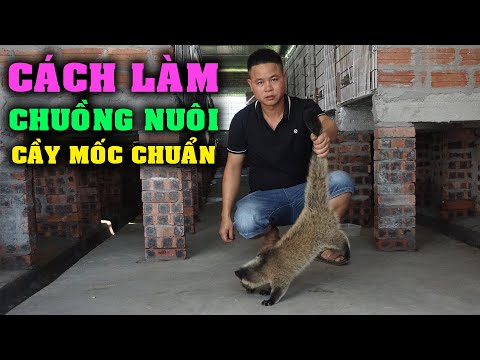 Video Cách Làm Chuồng Nuôi Cầy Mốc Chuẩn Nhất Khoa Học Thuận... - youtube