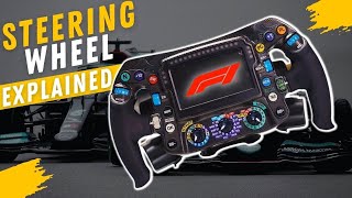 Formula 1 Steering Wheel Explained