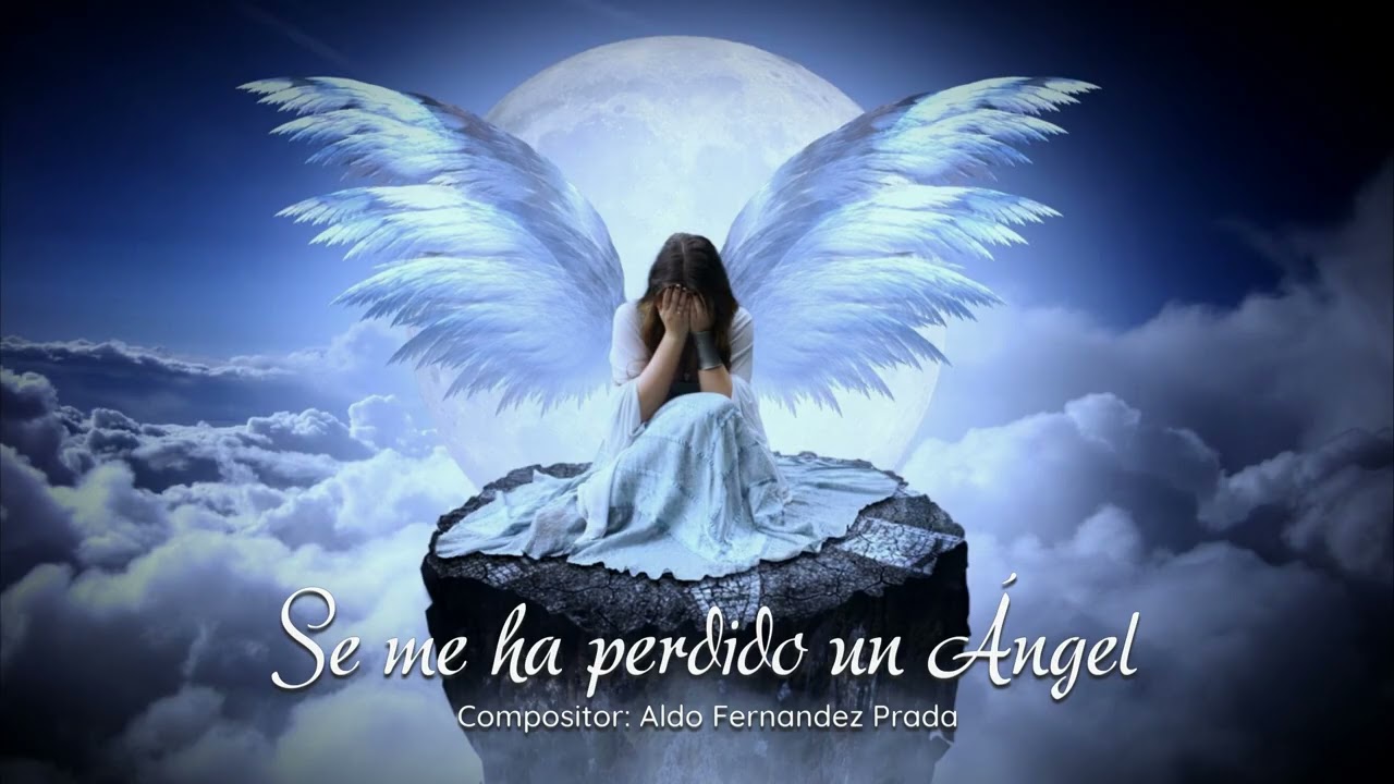 SE ME HA PERDIDO UN ÁNGEL