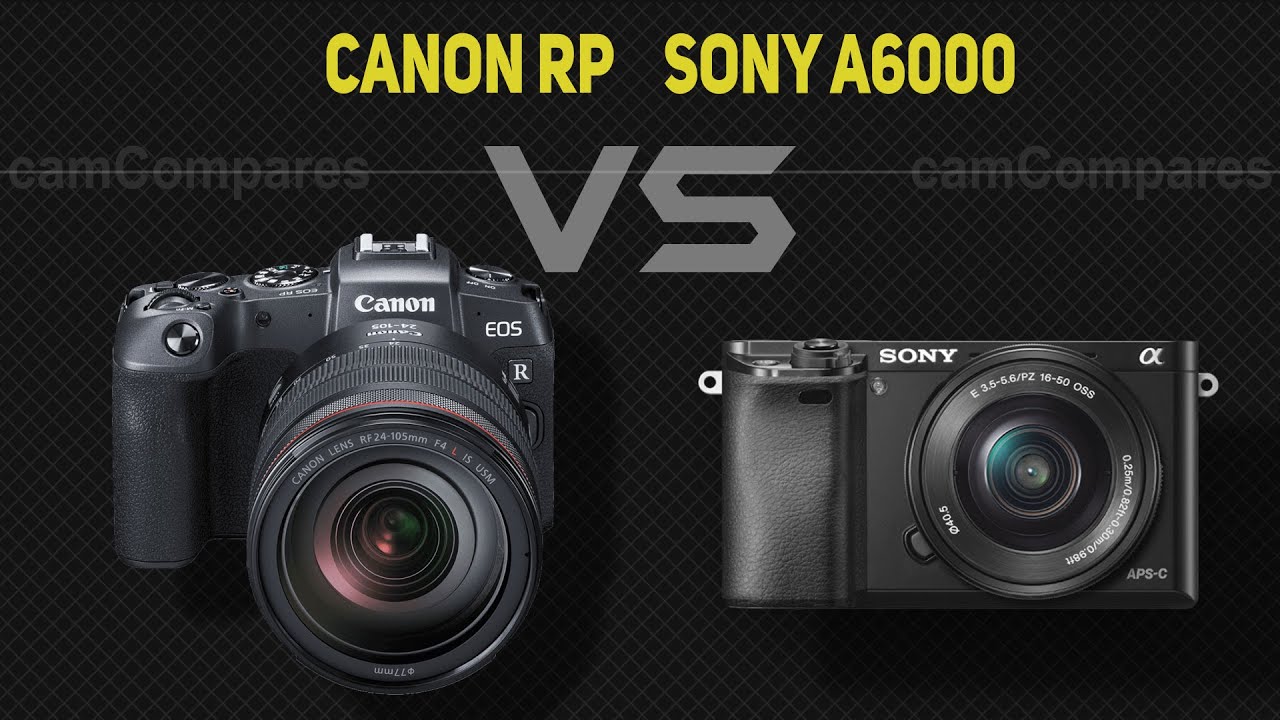 Canon RP vs Sony A6000 [Camera Battle] YouTube