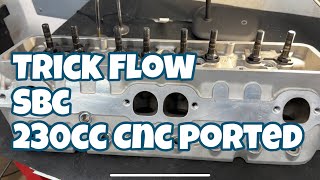 Trick Flow 230cc CNC Ported Review With Real Flow Numbers