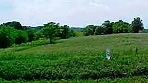 Homes for Sale - 20 Hardesty Ridge Rd Taylorsville...