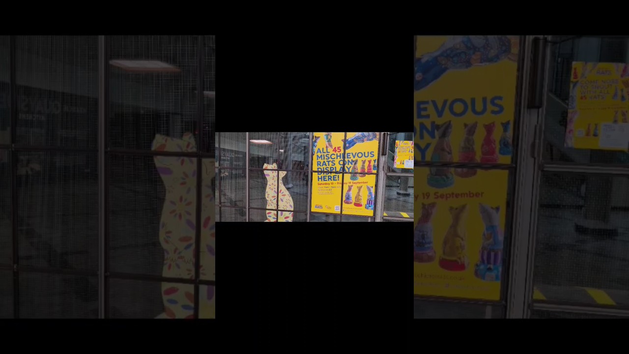 A Mischief of Rats photographs collection