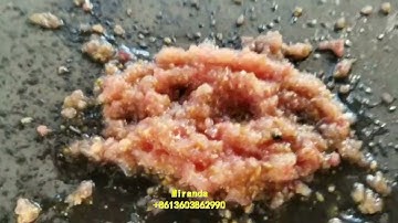 Automatic tomato juice extracting machine