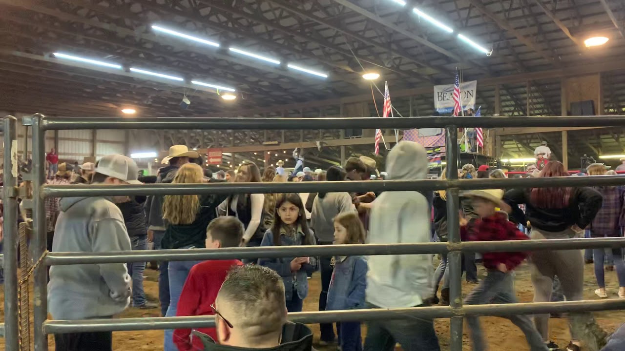 Line Dancing at the rodeo - YouTube