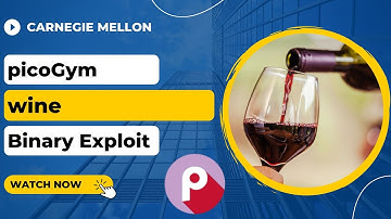 picoGym (picoCTF) Exercise: wine