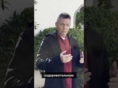 Тайцзи: боевое искусство