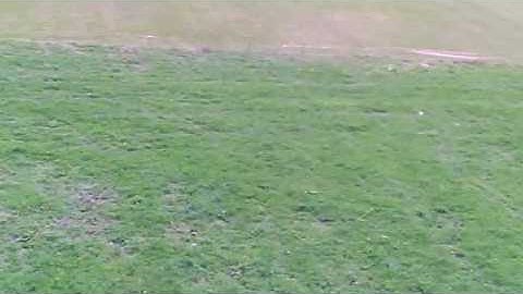 Guncam-filmpje vanop een Multiplex Easystar