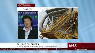 Author Diane Francis discusses global oil prices