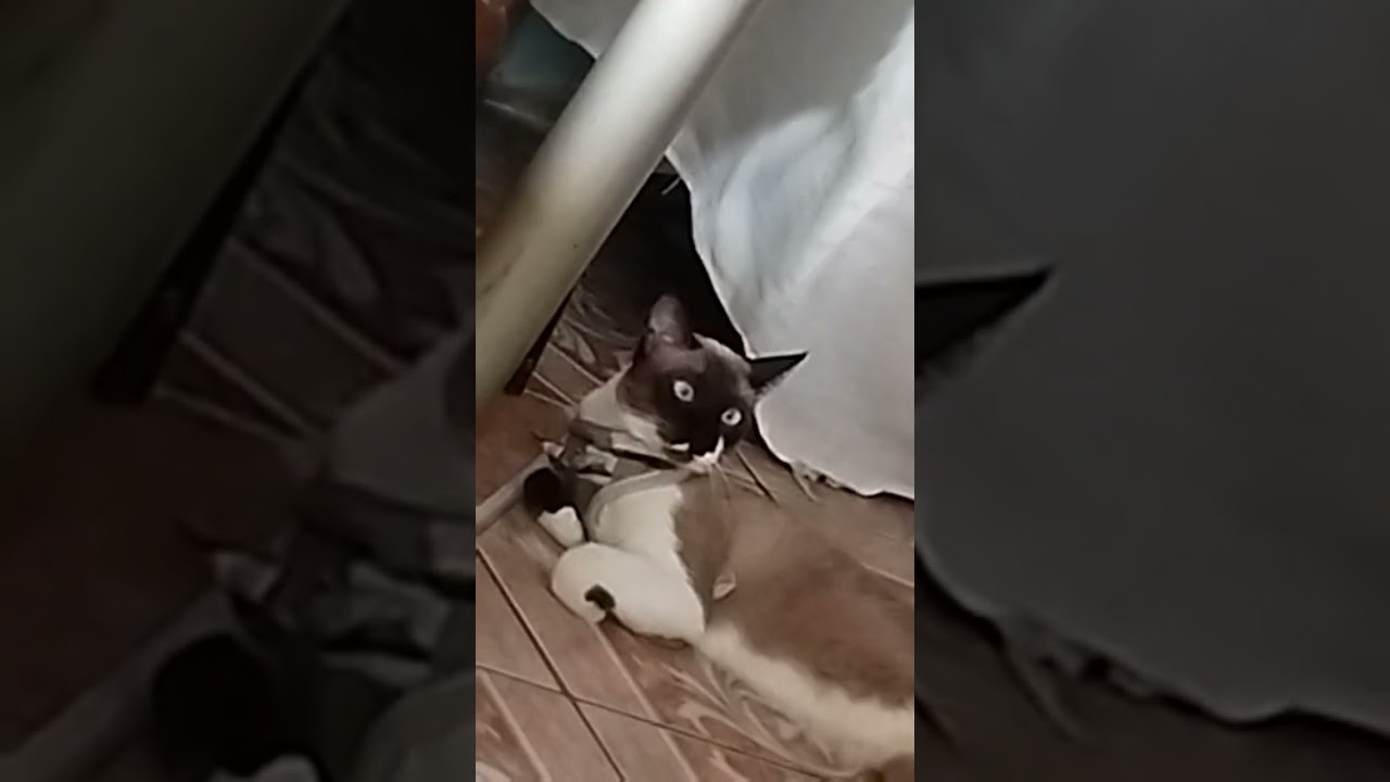 Staring at your soul