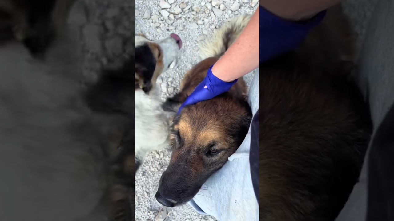 RANCHLIFE ❤️‍🩹 