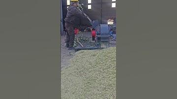 Smart technique of crushing tree branches using machines #shorts