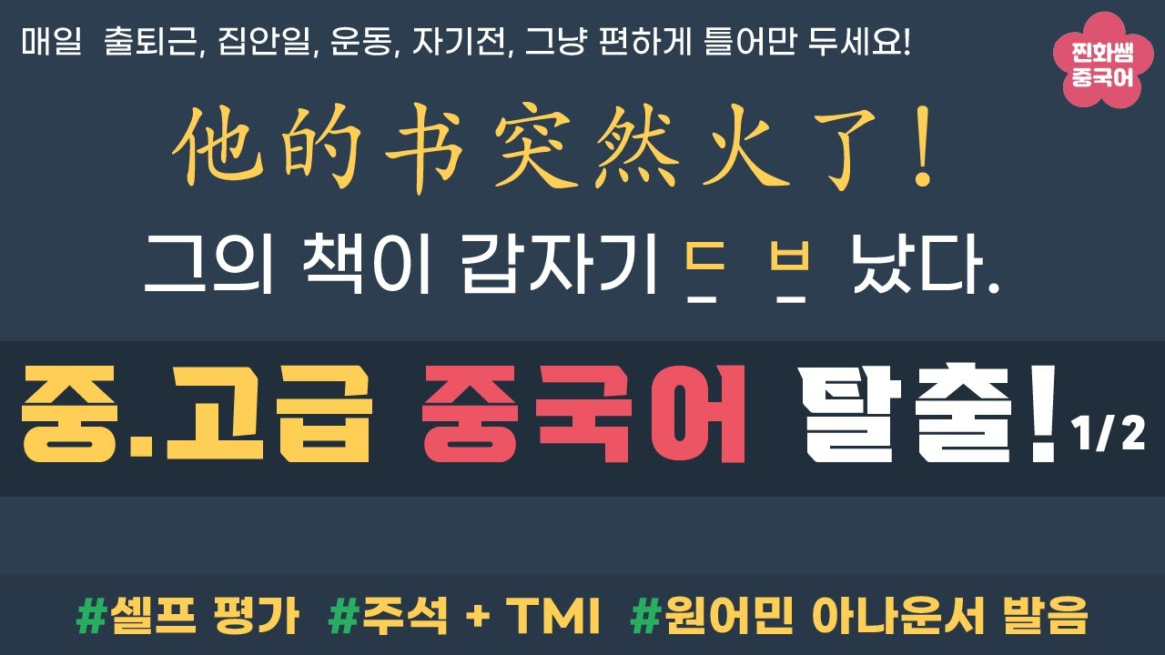 HSK4급 600개 단어중 300개의 369개 예문. 셀프Test. 3회반복. 아나운서 발음. 일단은 들으세요~[ 찐화쌤 중국어 ]