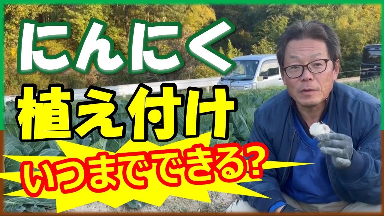 How long until I can plant garlic? - YouTube