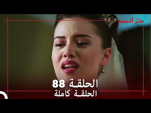 طائر النمنمة الحلقة 88 جودة عالية 