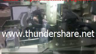 Automatic Multi head ROPP Cap Sealing Machine Mfg. By V-PACK MACHINERY Wealth