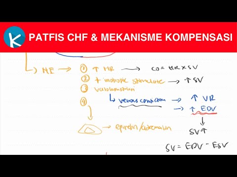 Patofisiologi Gagal Jantung Kongestif dan Mekanisme Kompensasi - Gagal Jantung (4/4)