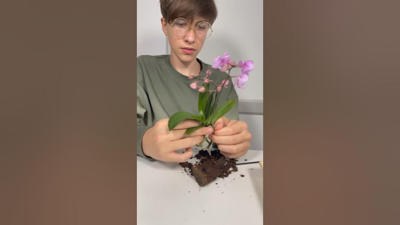 Торфяной стаканчик очищайте АККУРАТНО - YouTube