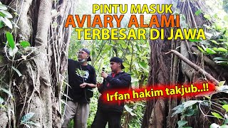Invite Irfan Hakim To Enter The Largest Natural Aviary On Java Island  A Heaven Of Thousands Of 