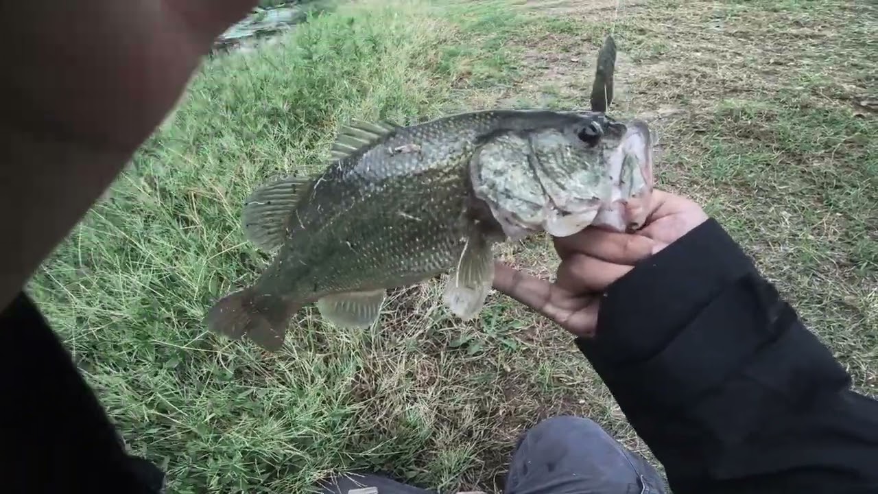 FALL BASS FISHING