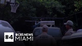 Tests link black bear killed by Florida officers to fatal attack on man and his dog
