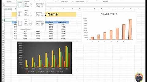 How To Page Margin Setup in MS Excel 2013 Tutorial p124 Urdu Hindi