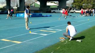 VID00271