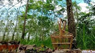 Download Lagu Pertarungan Sirtu Ekor Hitam Sumatra Part III MP3