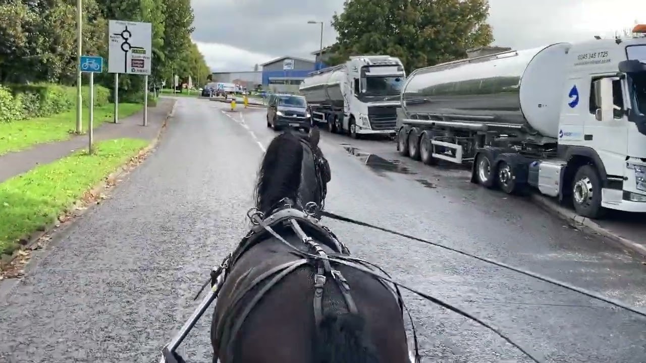 A Green Stallion's First Time Driving Around Town in Single