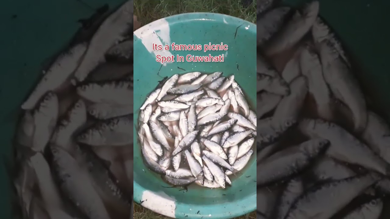 Dipor Bil Guwahati Assam 