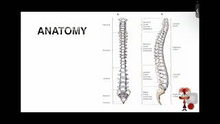Free Lecture on CLUSTER 3: Rules of Oblique | Kenneth M. Luciano, RRT, MMHoA