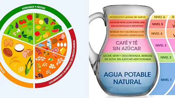 ¿Cuál es el objetivo del plato del buen comer y la jarra del buen beber?