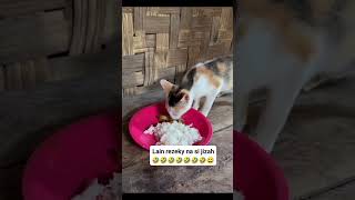 Dasar Lain Rezekina Si Zizah