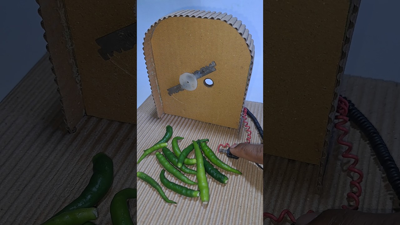 Chilli Cutter Machine With Dc Motor 