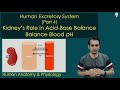 Role of Kidneys in Acid Base Balance | Renal Physiology | Human Excretory System (Part 4)