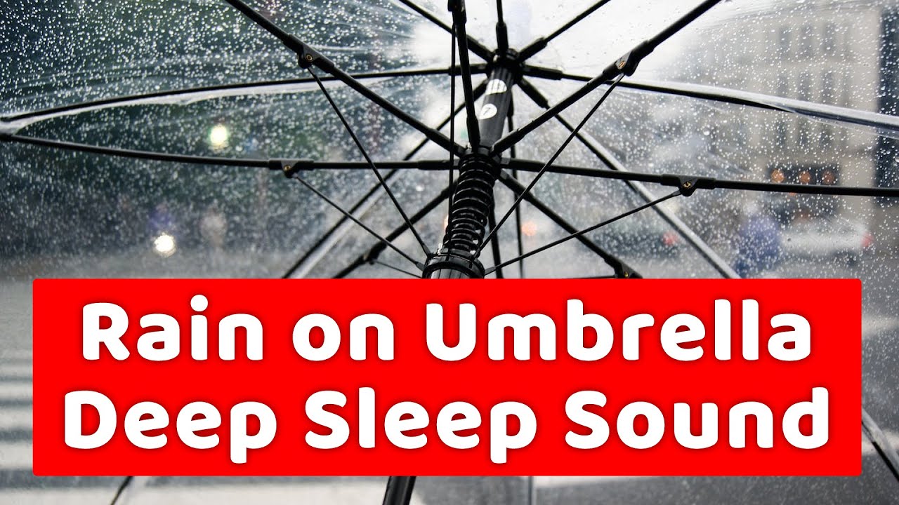 3 Hour Rain On Umbrella Deep Sleep Music Black Screen YouTube 3-hour-rain-on-umbrella-deep-sleep-music-black-screen-youtube